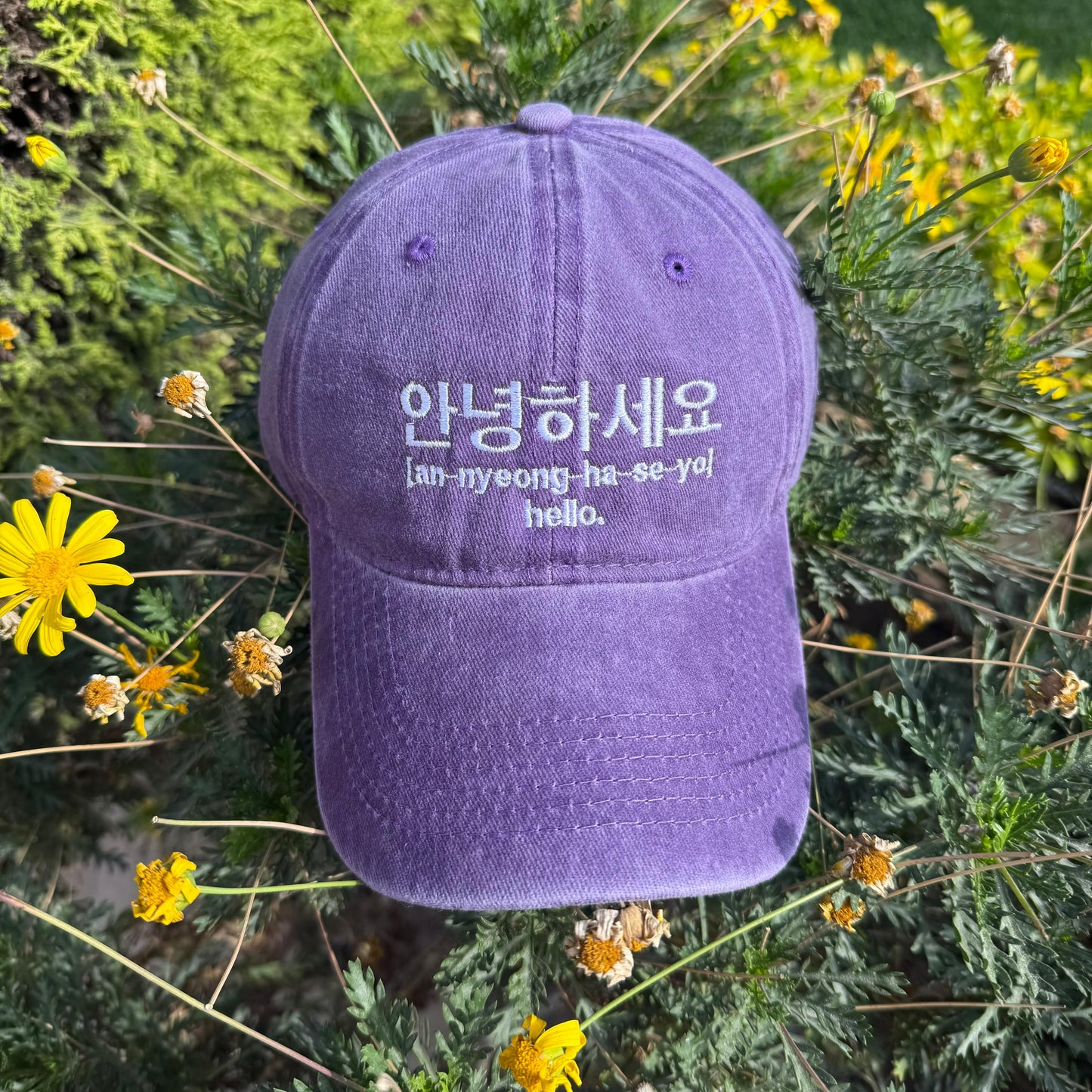 an-nyeong-ha-se-yo 🇰🇷