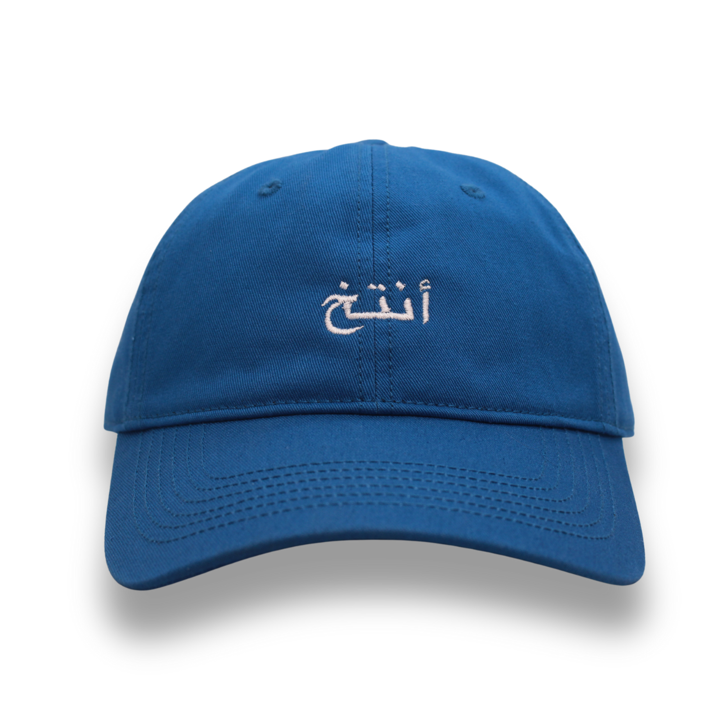 أنتخ